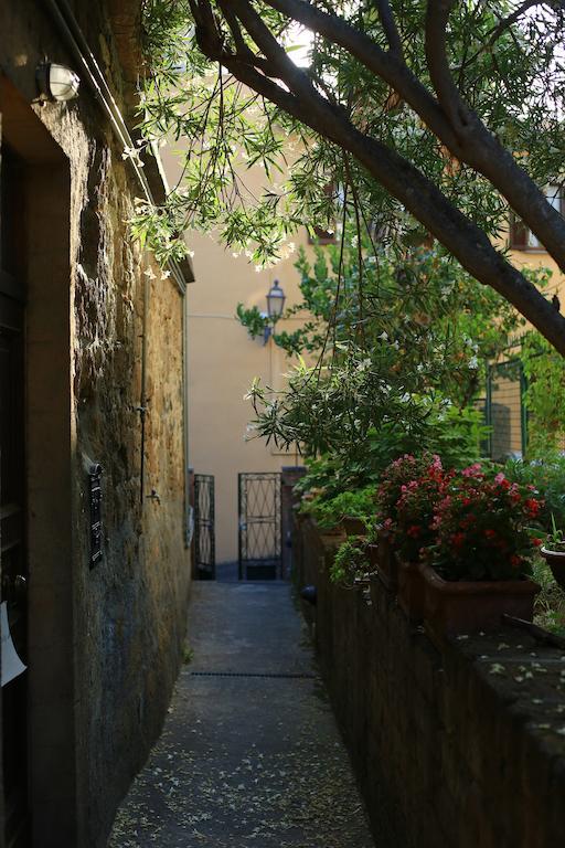 B&B La Palma Orvieto Zimmer foto